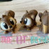 Squirrel Articulated 3D Animal
